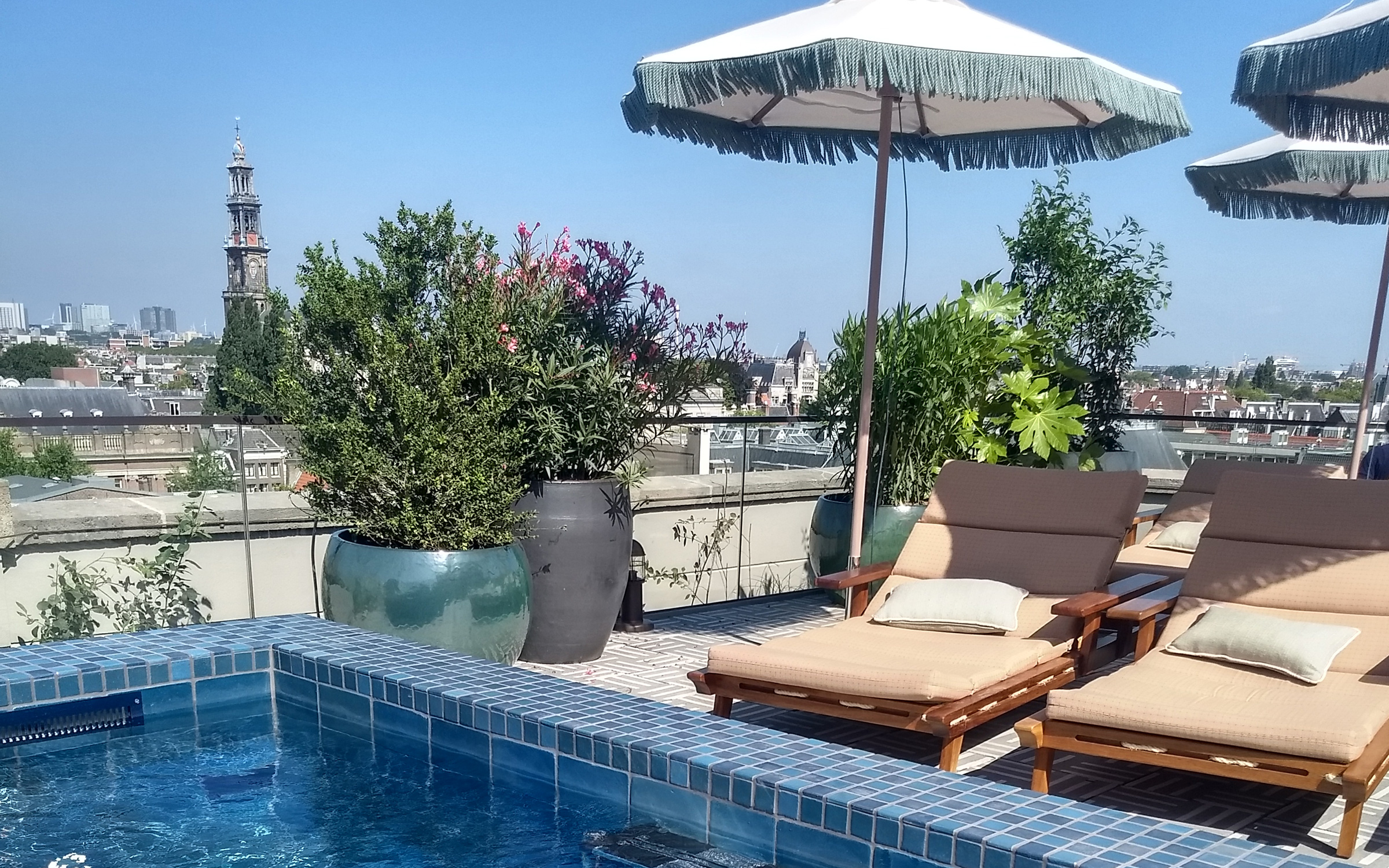 Besides a bar, lush planting beds and a splendid view the roof terrace also includes a swimming pool. Roof terrace with sundeck chairs and swimming pool